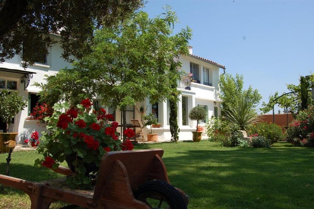 Chambre Seville - Mas Saint-Louis - Piscine Chauffee Aigues-Mortes Esterno foto